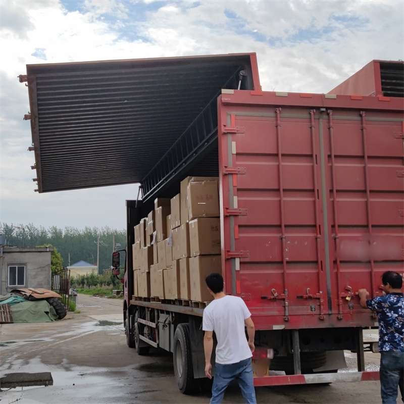 富宁县扎囊县：物流专线的高效货运之旅